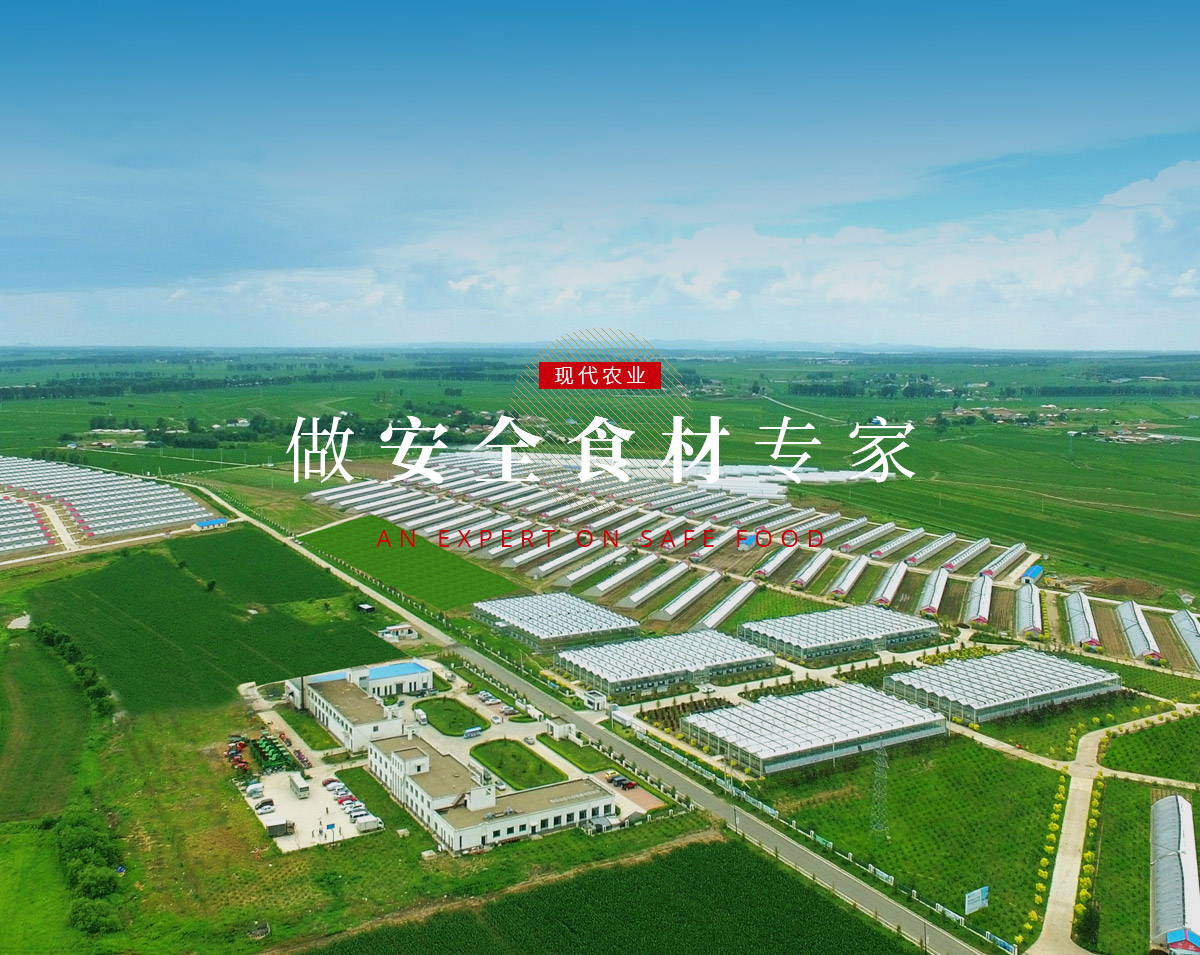 banner5_p9615812 首页| 4002cc永利集团中国区官方网站